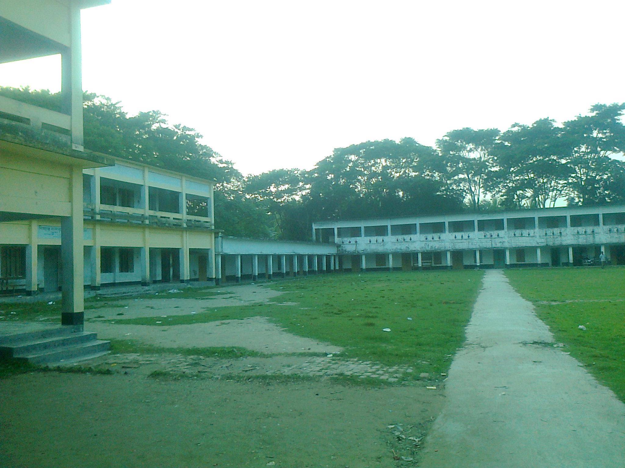 Curriculum Updates